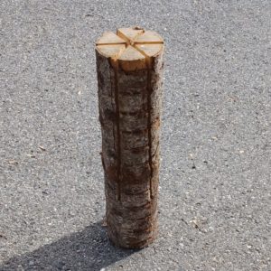 Bûche finlandaise