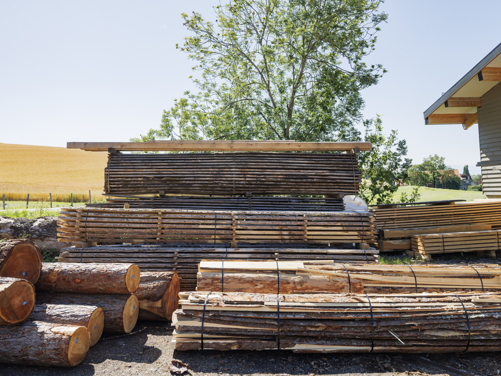 Bois de la scierie de Marchissy
