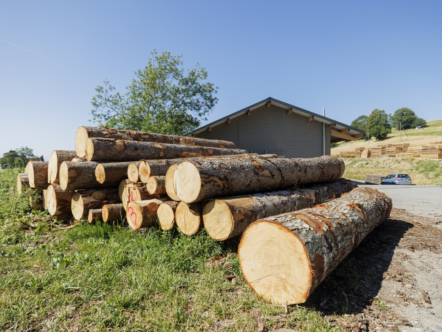 Bois de la scierie de Marchissy