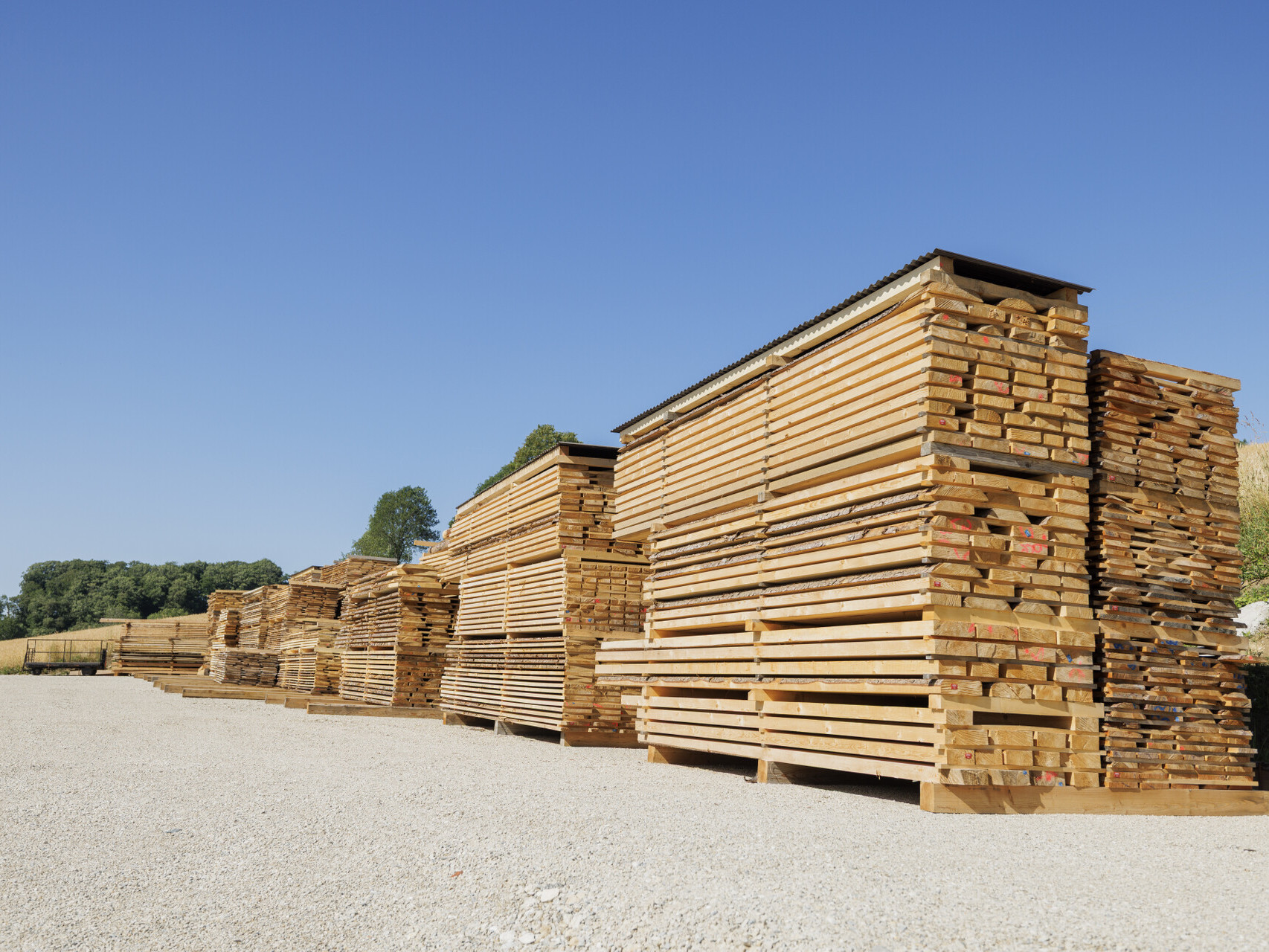 Bois de la scierie de Marchissy